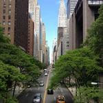 Maximillian Bergnaum