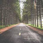 Casimir Runolfsdottir