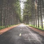 Casimir Runolfsdottir